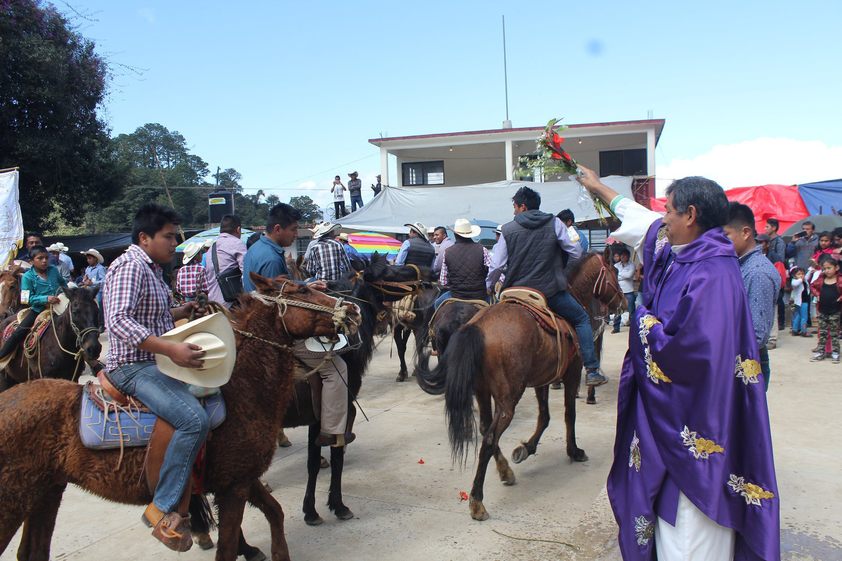 TLAXPA 6