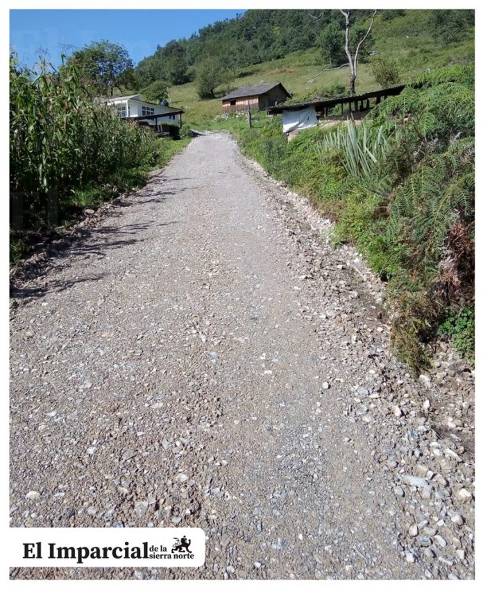 237102510_6241573115867665_2889355002408105740_n