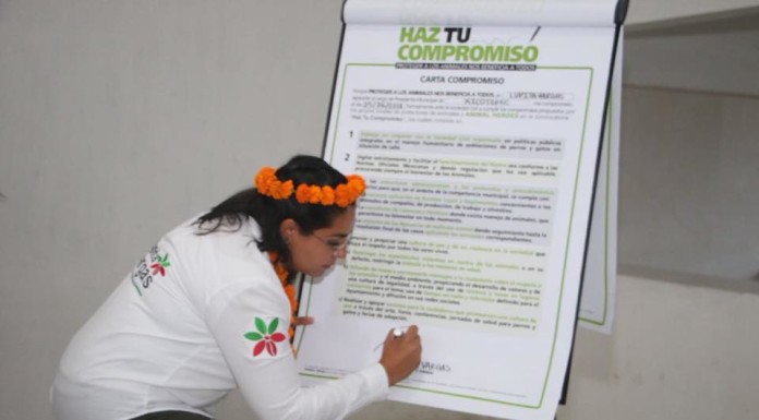 “Vamos respetando los usos y costumbres de la gente y vamos dándole su lugar a las juntas auxiliares”: Lupita Vargas